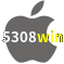 Aplicativo 5308win para iOS