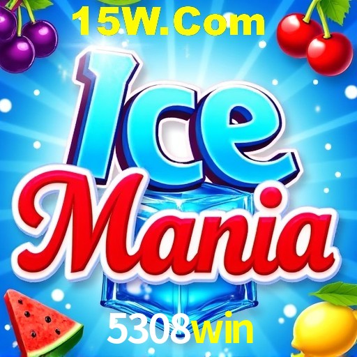 5308win Rio de Janeiro - Bonus Terms