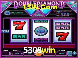 5308win Rio de Janeiro - Licenses