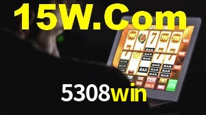 Programa VIP 5308win