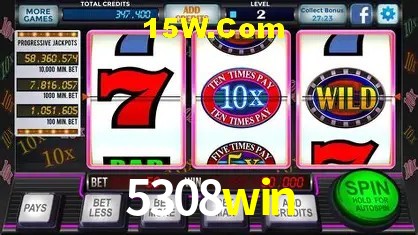 5308win - Login Methods