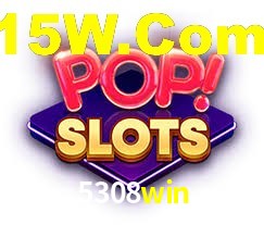 5308win App Interface