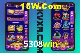 Experiência VIP 5308win