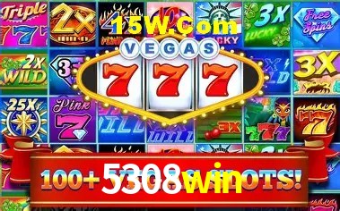 5308win Salvador - Support